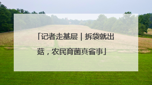 记者走基层｜拆袋就出菇，农民育菌真省事