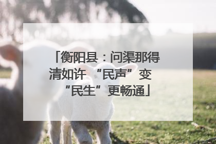 衡阳县：问渠那得清如许 “民声”变“民生”更畅通