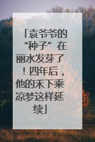 袁爷爷的“种子”在丽水发芽了！四年后，他的禾下乘凉梦这样延续