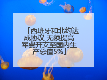 西班牙和北约达成协议 无须提高军费开支至国内生产总值5%