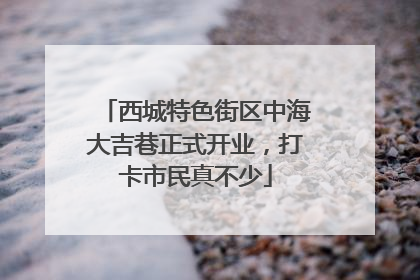 西城特色街区中海大吉巷正式开业，打卡市民真不少