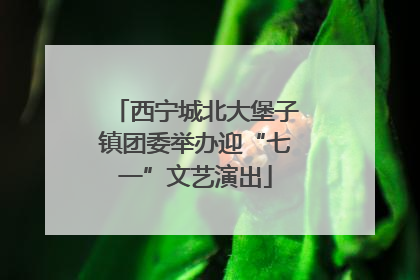 西宁城北大堡子镇团委举办迎“七一”文艺演出