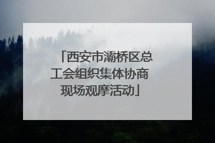西安市灞桥区总工会组织集体协商现场观摩活动