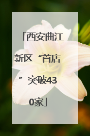 西安曲江新区“首店”突破430家