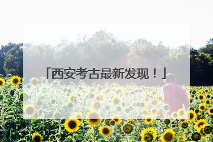 西安考古最新发现！