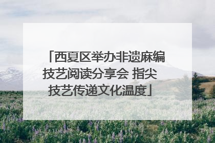 西夏区举办非遗麻编技艺阅读分享会 指尖技艺传递文化温度