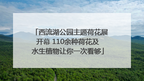 西流湖公园主题荷花展开幕 110余种荷花及水生植物让你一次看够