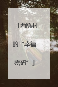 西陈村的“幸福密码”