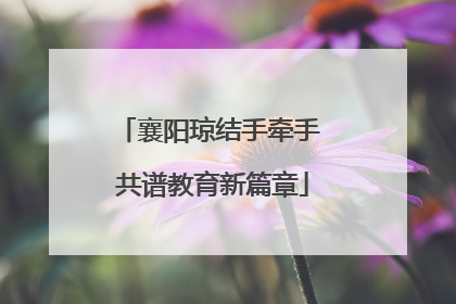 襄阳琼结手牵手 共谱教育新篇章