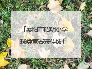 襄阳市昭明小学球类竞赛获佳绩