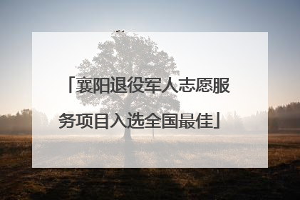 襄阳退役军人志愿服务项目入选全国最佳