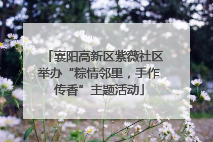 襄阳高新区紫薇社区举办“粽情邻里，手作传香”主题活动