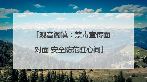 观音阁镇：禁毒宣传面对面 安全防范驻心间