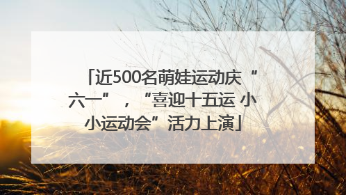 近500名萌娃运动庆“六一”，“喜迎十五运 小小运动会”活力上演