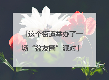 这个街道举办了一场“盆友圈”派对