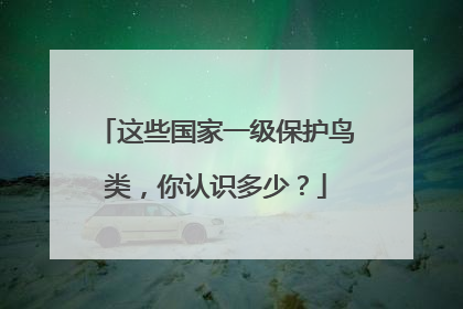 这些国家一级保护鸟类，你认识多少？