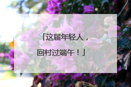 这届年轻人，回村过端午！