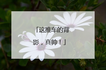 这推车的背影，真帅！