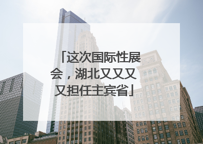 这次国际性展会，湖北又又又又担任主宾省