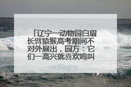 辽宁一动物园白眉长臂猿猴高考期间不对外展出，园方：它们一高兴就喜欢鸣叫，怕影响考试