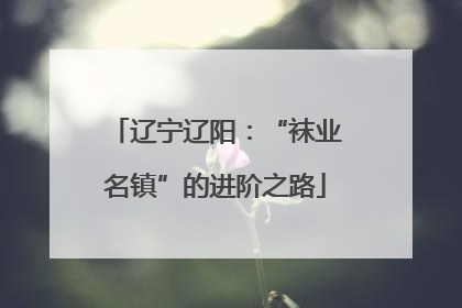 辽宁辽阳：“袜业名镇”的进阶之路