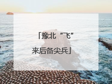 豫北“飞”来后备尖兵