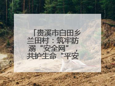 贵溪市白田乡兰田村：筑牢防溺“安全网”，共护生命“平安线”（图）