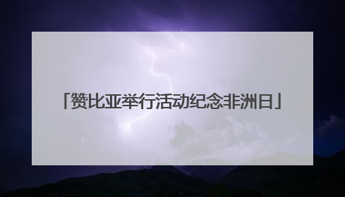 赞比亚举行活动纪念非洲日
