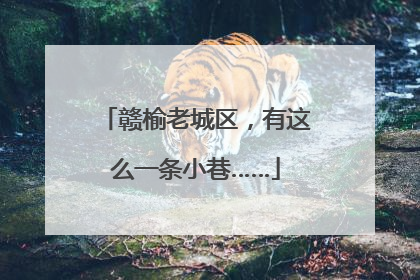 赣榆老城区，有这么一条小巷……