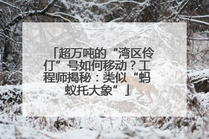 超万吨的“湾区伶仃”号如何移动？工程师揭秘：类似“蚂蚁托大象”