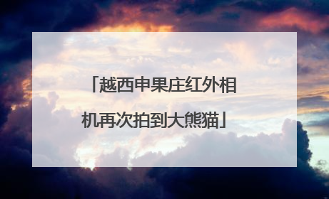 越西申果庄红外相机再次拍到大熊猫