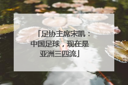 足协主席宋凯：中国足球，现在是亚洲三四流