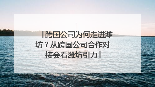 跨国公司为何走进潍坊？从跨国公司合作对接会看潍坊引力