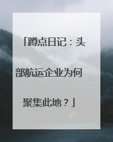 蹲点日记：头部航运企业为何聚集此地？