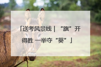 送考风景线｜“旗”开得胜 一举夺“葵”