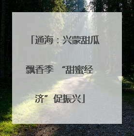 通海：兴蒙甜瓜飘香季 “甜蜜经济”促振兴