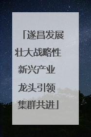 遂昌发展壮大战略性新兴产业 龙头引领 集群共进