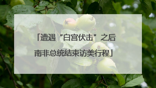 遭遇“白宫伏击”之后 南非总统结束访美行程