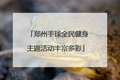 郑州手球全民健身主题活动丰富多彩