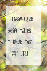 郧西县城关镇“甜蜜”桃变“致富”果