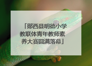 郧西县明德小学教联体青年教师素养大赛圆满落幕