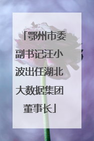 鄂州市委副书记汪小波出任湖北大数据集团董事长