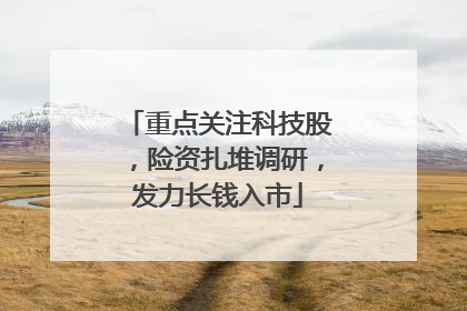 重点关注科技股，险资扎堆调研，发力长钱入市