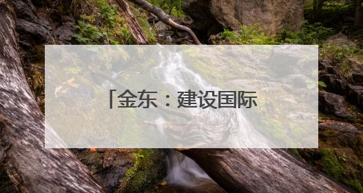 金东：建设国际消费中心城市须坚持“四化”引领