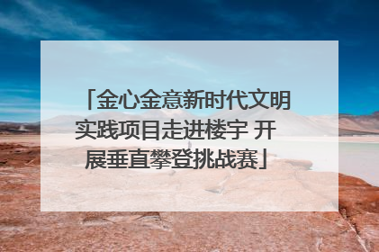 金心金意新时代文明实践项目走进楼宇 开展垂直攀登挑战赛
