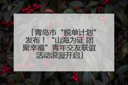 青岛市“脱单计划”发布！“山海为证 团聚幸福”青年交友联谊活动浪漫开启