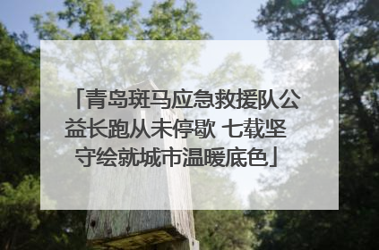 青岛斑马应急救援队公益长跑从未停歇 七载坚守绘就城市温暖底色