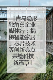 青岛隐形独角兽企业媒体行：揭秘智能家居、芯片技术等创新亮点 共绘科技新篇章