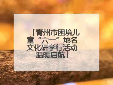 青州市困境儿童“六一”地名文化研学行活动温暖启航