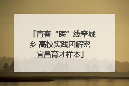青春“医”线牵城乡 高校实践团解密宜昌育才样本